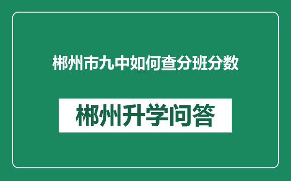 郴州市九中如何查分班分数