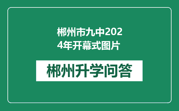 郴州市九中2024年开幕式图片