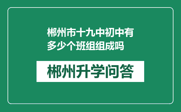 郴州市十九中初中有多少个班组组成吗