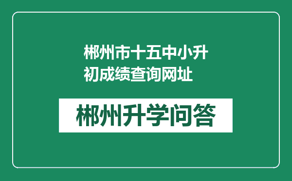 郴州市十五中小升初成绩查询网址