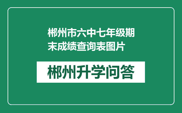 郴州市六中七年级期末成绩查询表图片
