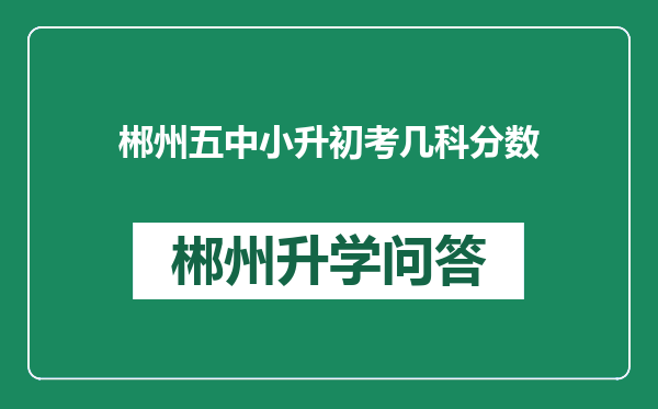 郴州五中小升初考几科分数