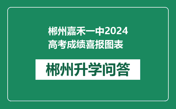 郴州嘉禾一中2024高考成绩喜报图表