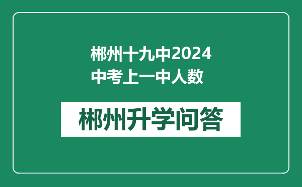郴州十九中2024中考上一中人数