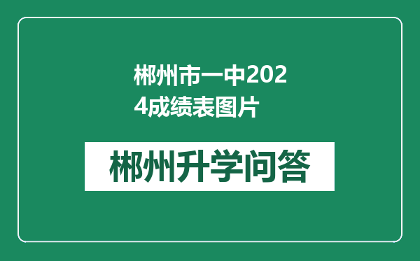 郴州市一中2024成绩表图片