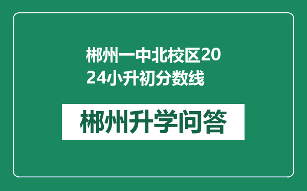 郴州一中北校区2024小升初分数线