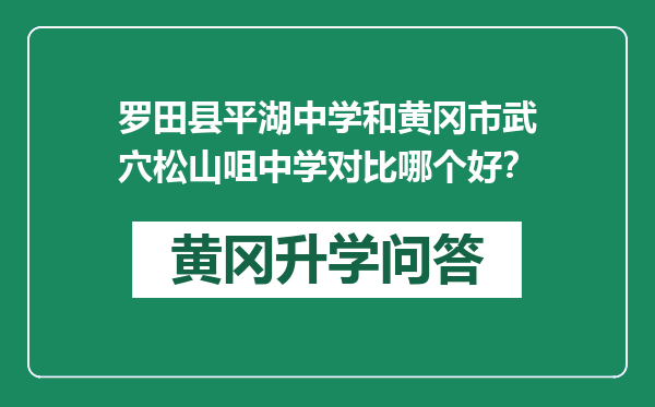 罗田县平湖中学和黄冈市武穴松山咀中学对比哪个好？