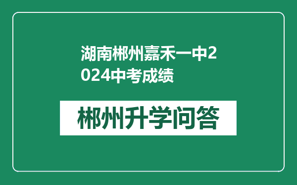 湖南郴州嘉禾一中2024中考成绩