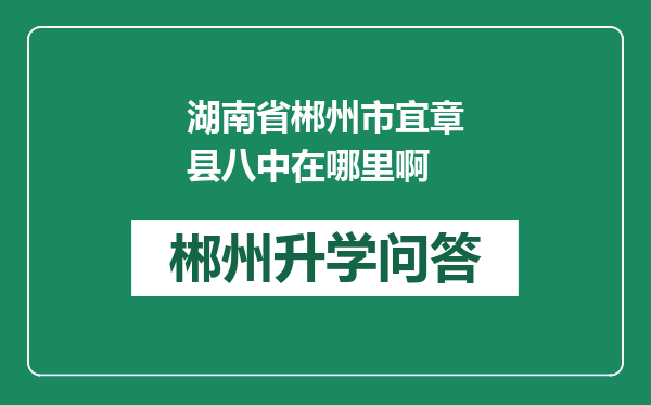 湖南省郴州市宜章县八中在哪里啊