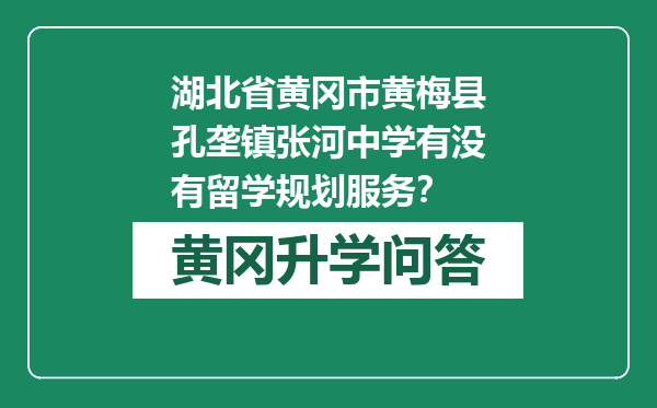 湖北省黄冈市黄梅县孔垄镇张河中学有没有留学规划服务？
