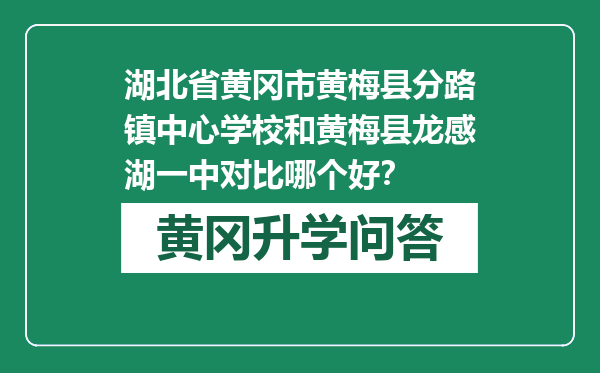 湖北省黄冈市黄梅县分路镇中心学校和黄梅县龙感湖一中对比哪个好？