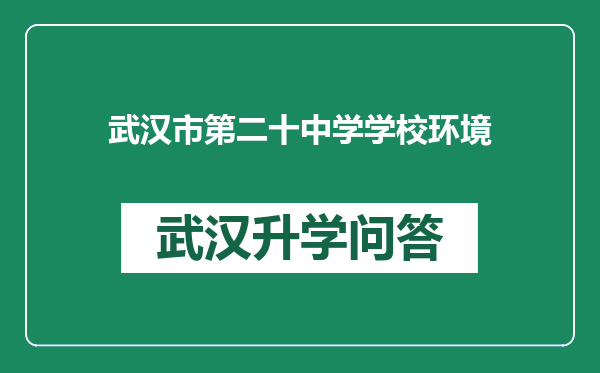 武汉市第二十中学学校环境