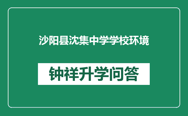 沙阳县沈集中学学校环境