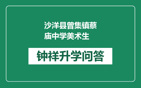 沙洋县曾集镇蔡庙中学美术生