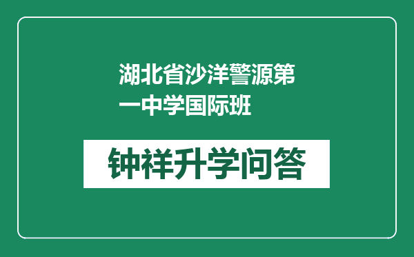 湖北省沙洋警源第一中学国际班