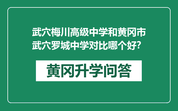 武穴梅川高级中学和黄冈市武穴罗城中学对比哪个好？