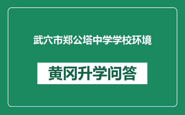武穴市郑公塔中学学校环境