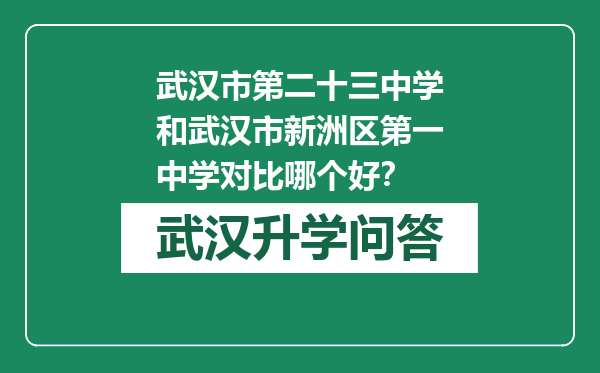 武汉市第二十三中学和武汉市新洲区第一中学对比哪个好？