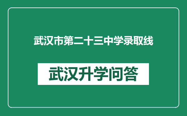 武汉市第二十三中学录取线