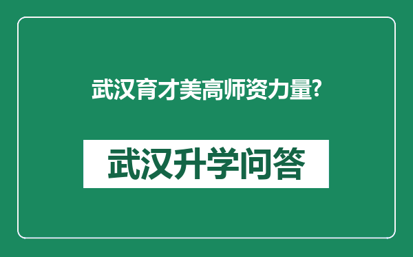 武汉育才美高师资力量?