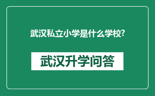 武汉私立小学是什么学校?