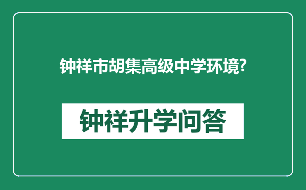 钟祥市胡集高级中学环境?