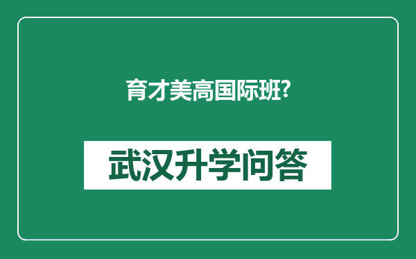 育才美高国际班?