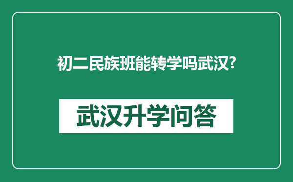 初二民族班能转学吗武汉?