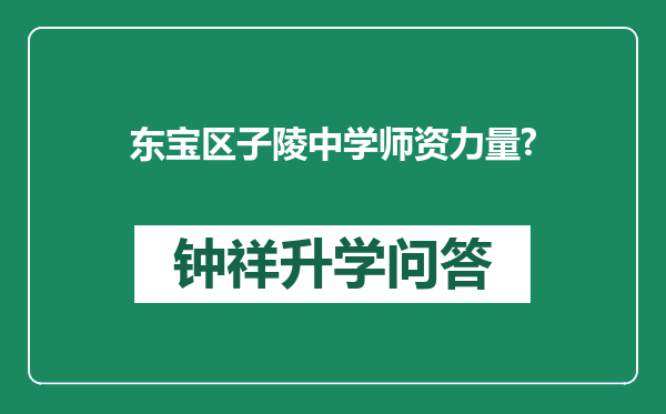 东宝区子陵中学师资力量?