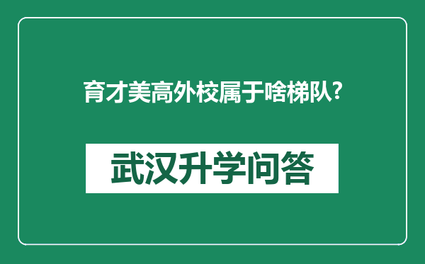 育才美高外校属于啥梯队?