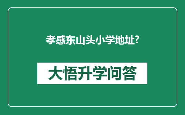 孝感东山头小学地址?