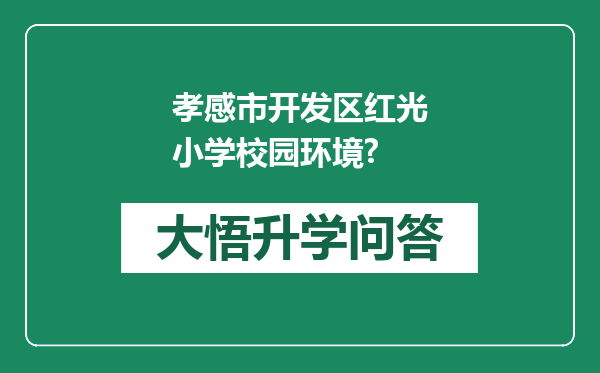 孝感市开发区红光小学校园环境?