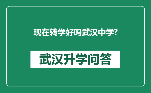 现在转学好吗武汉中学?