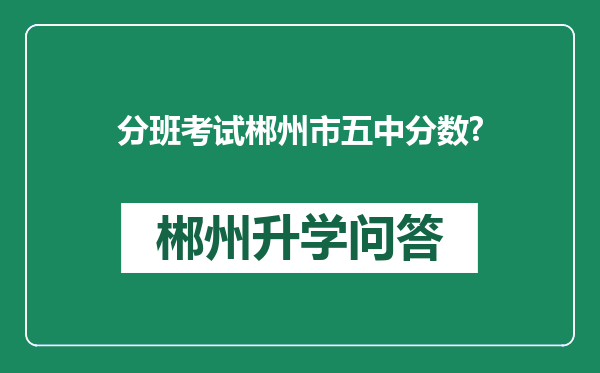 分班考试郴州市五中分数?