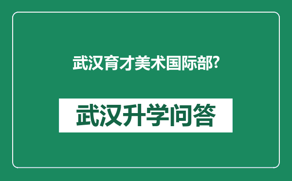 武汉育才美术国际部?