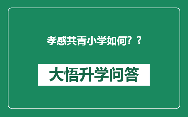 孝感共青小学如何？?