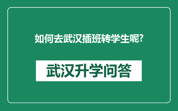 如何去武汉插班转学生呢?