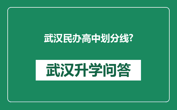 武汉民办高中划分线?