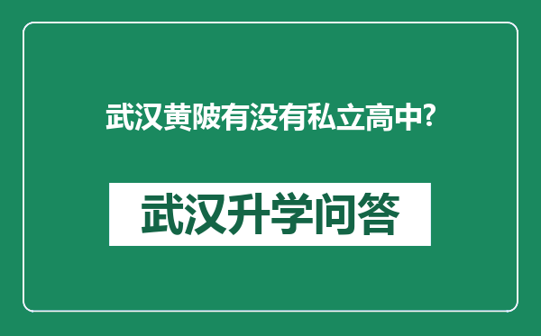 武汉黄陂有没有私立高中?