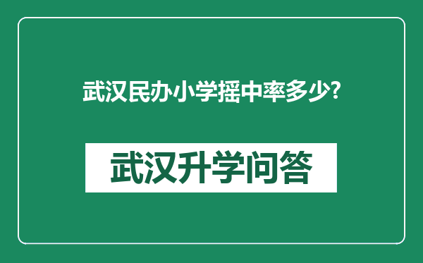 武汉民办小学摇中率多少?