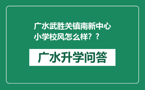 广水武胜关镇南新中心小学校风怎么样？?