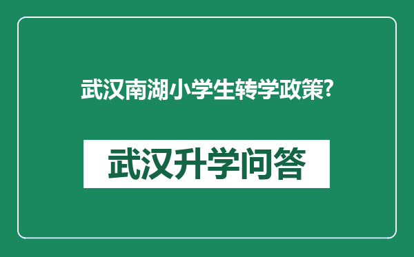 武汉南湖小学生转学政策?