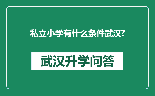 私立小学有什么条件武汉?