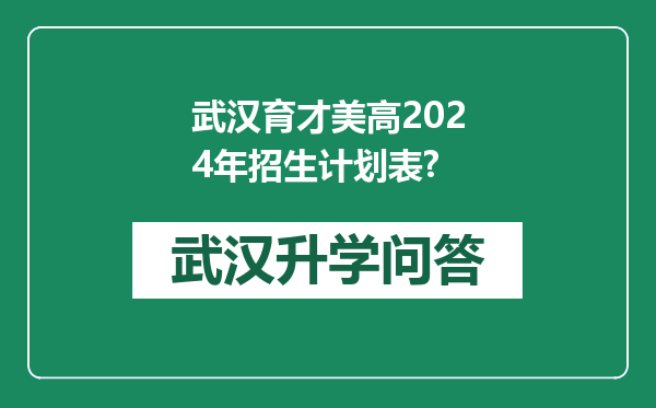 武汉育才美高2024年招生计划表?