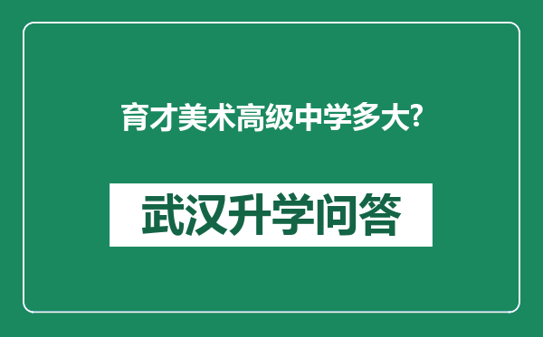 育才美术高级中学多大?
