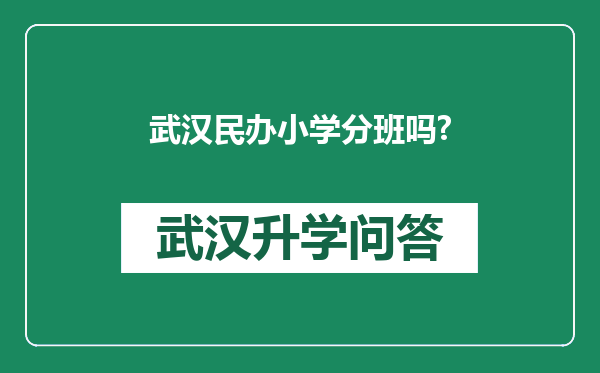 武汉民办小学分班吗?