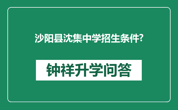 沙阳县沈集中学招生条件?