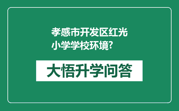 孝感市开发区红光小学学校环境?