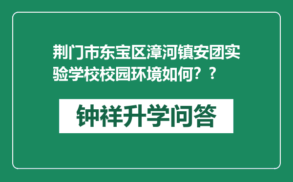 荆门市东宝区漳河镇安团实验学校校园环境如何？?