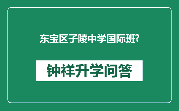 东宝区子陵中学国际班?